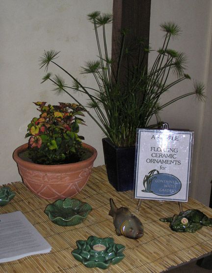 Show pics of your water garden pots please